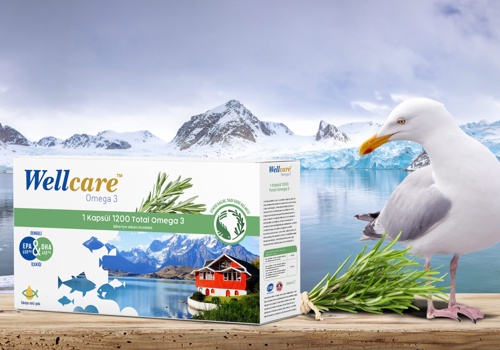 Branding Package Example: Wellcare Omega 3 Packaging Design