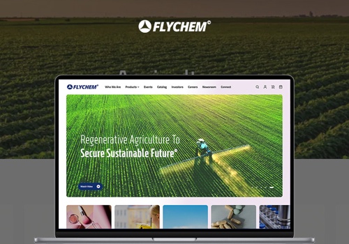 E-Commerce Development Package Example: Flychem