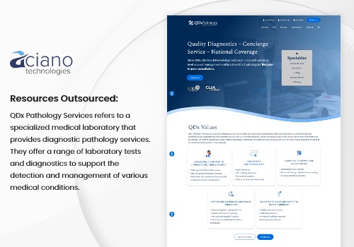 IT Staff Augmentation Package Example: Resources Outsourced to QDx Pathology Services