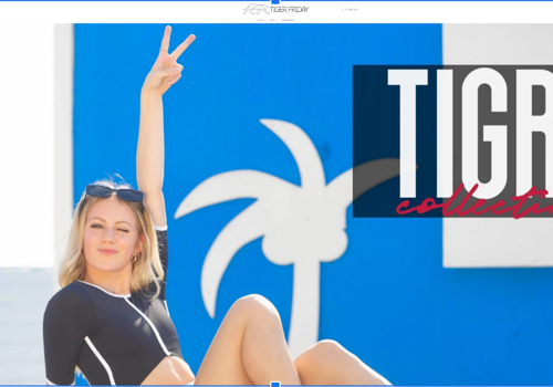 Search Engine Optimization Package Example: skyrocketed the PPC revenue by 51.86% in 7 months