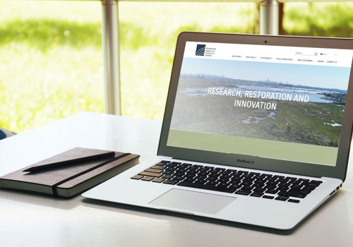 Search Engine Optimization Package Example: Website Design For MRRI