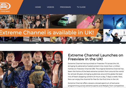 Search Engine Optimization Package Example: Extreme Conversion Rate Project