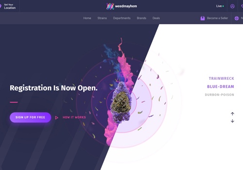 Custom Software Development Package Example: Weedmayhem
