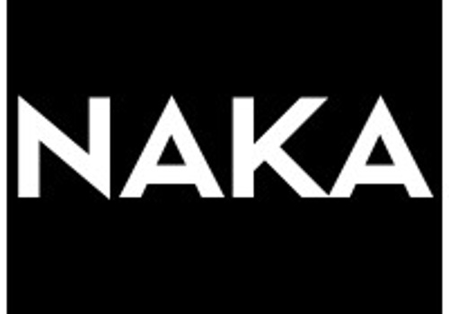 Search Engine Optimization Package Example: NAKA Technologies