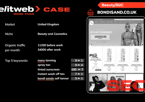 Search Engine Optimization Package Example: SEO&PPC promotion of Bondisands
