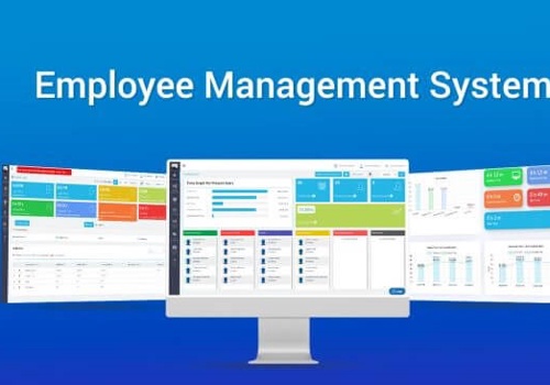 Custom Software Development Package Example: a platform for managing the employees’ activities