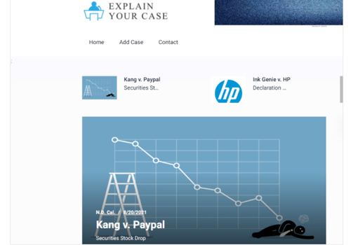 Pay Per Click Package Example: Website Design and Development