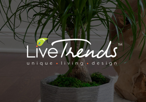 Web Design Package Example: LiveTrends Design - Website Design & Application