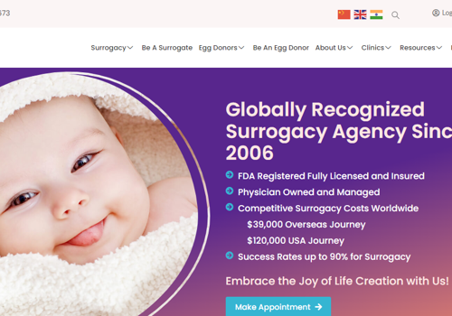 Search Engine Optimization Package Example: SEO Services