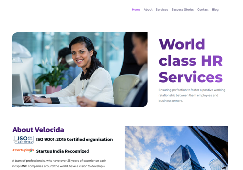 Web Design Package Example: Web Design & Social Media for Women owned startup