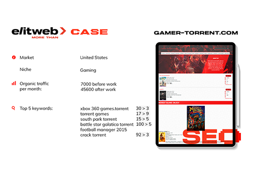 Search Engine Optimization Package Example: SEO for Gamer Torrent