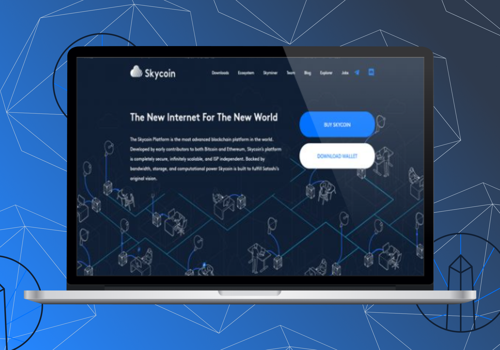 Custom Software Development Package Example: SKYCOIN - UTILITY FOR CRYPTOCURRENCY PROJECT