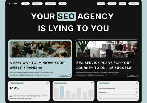 Search Engine Optimization Package Example: Web Design Concept for SEO Agency