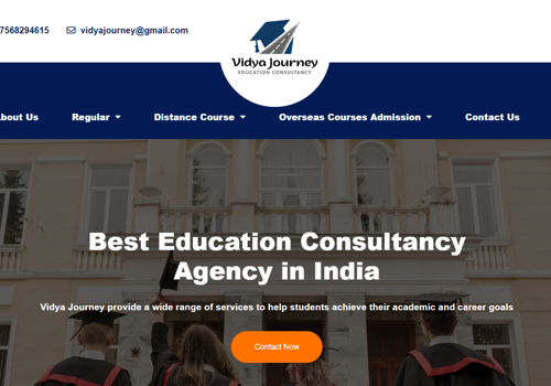 Web Development Package Example: Website Design for Vidya Journey