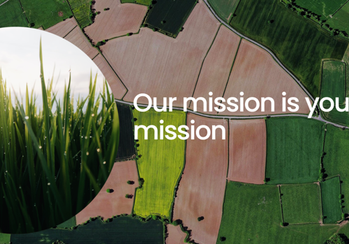 Custom Software Development Package Example: IT Startup, UK