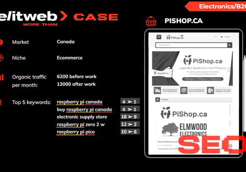 Marketing Strategy Package Example: PPC, SEO, and SMM Promotion of PiShop E-commerce