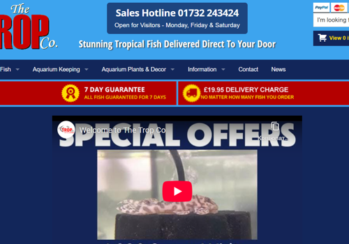 E-Commerce Development Package Example: The Trop Co. eShop