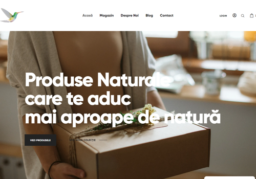 Web Development Package Example: Aer Piata Altfel - Web Development