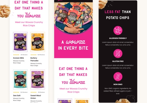 Web Design Package Example: Wowza Snacks ecommerce website