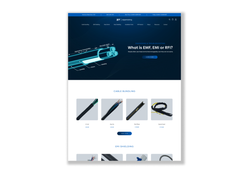 Web Design Package Example: Shopify Design and Development