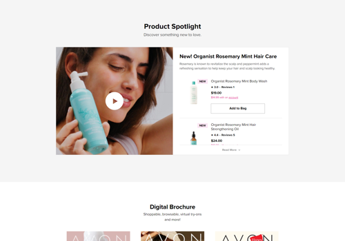 Web Design Package Example: Online Ecommerece Business Website
