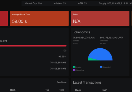 Custom Software Development Package Example: Revolutionizing Blockchain Accessibility