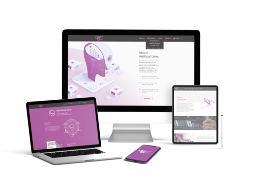 Branding Package Example: Artificial Links Project