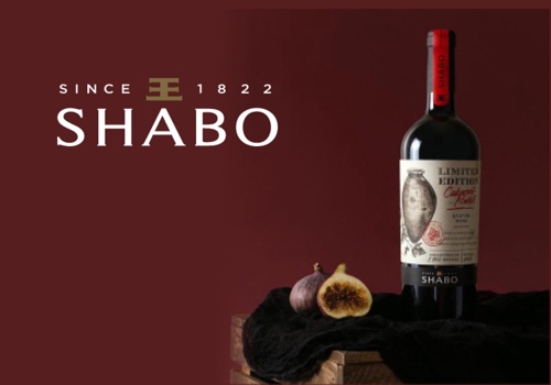 UX/UI Design Package Example: UX/UI changes for Shabo