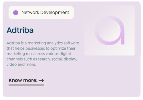 Sales Outsourcing Package Example: Building Networks for Saas Companies: A Case Study