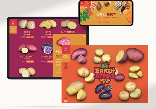 E-Commerce Development Package Example: Earth Apples Branding, Strategy & Web Design