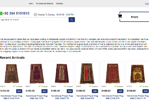E-Commerce Development Package Example: Art exposure carpets