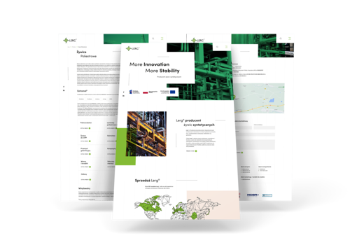 Web Design Package Example: Lerg - Dedicated Company Website