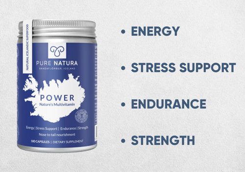 Search Engine Optimization Package Example: Ranking #1 in Google Search & Enhancing Traffic