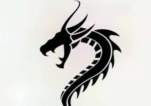 AI Development Package Example: Dragon - Human Recognition