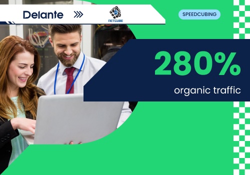 Pay Per Click Package Example: SEO for Netcube