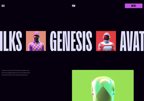 Web Design Package Example: Silks Landing page