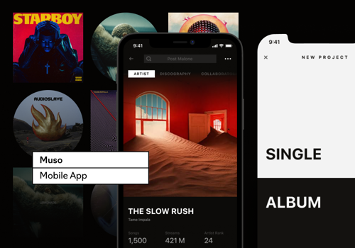 UX/UI Design Package Example: Muso