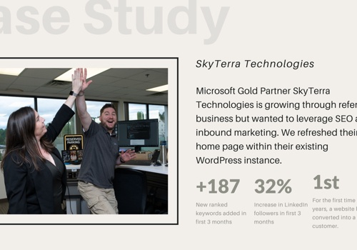 Digital Strategy Package Example: Website and Digital Marketing:SkyTerra Technology