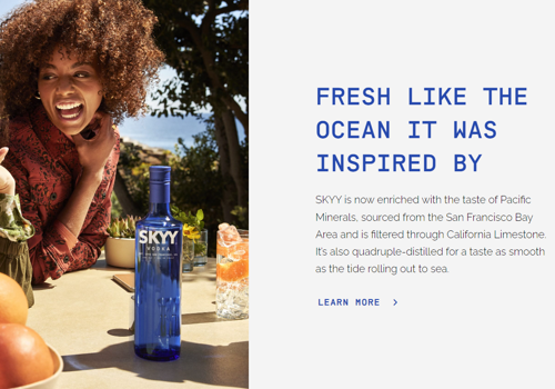 UX/UI Design Package Example: Full-Cycle development for vodka manufacture