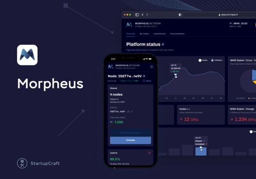Custom Software Development Package Example: Morpheus.Network
