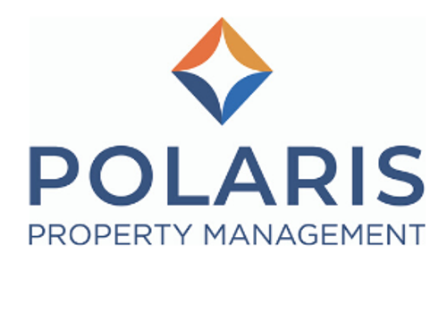 Search Engine Optimization Package Example: SEO Backlinking and Organic Traffic