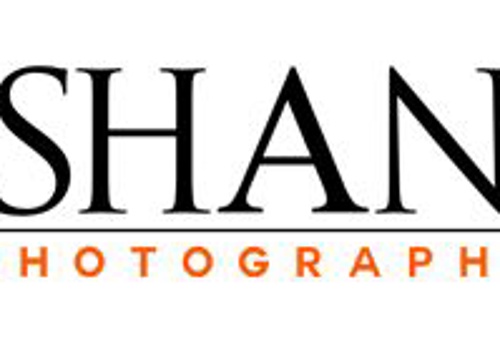 Search Engine Optimization Package Example: Shan Photography Sees 10% Increase in Keyword Rank