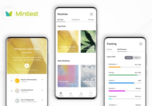 Custom Software Development Package Example: Mintiest App