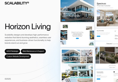 Web Design Package Example: Website for a Premier Real Estate Brand