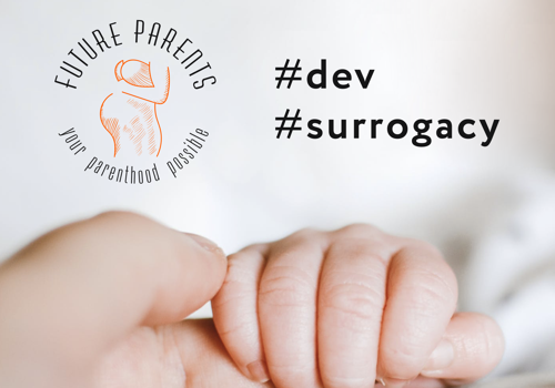 Web Development Package Example: Website Development | Future Parents