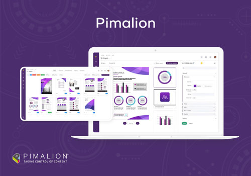 UX/UI Design Package Example: Pimalion