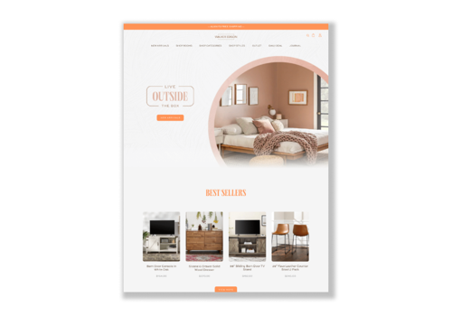 Web Design Package Example: Shopify Design and Development