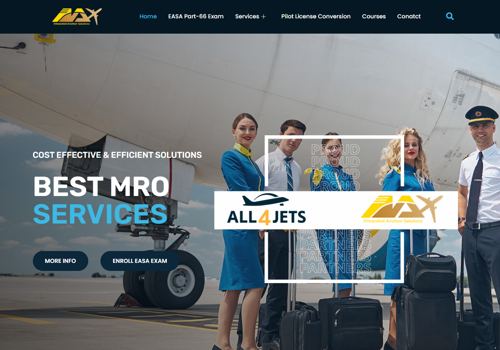 Web Development Package Example: Integrated Aviation Solution