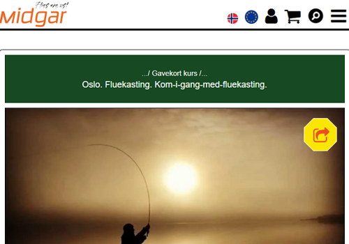 E-Commerce Development Package Example: Midgar. Flies Are Us