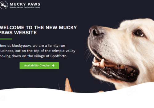 Search Engine Optimization Package Example: Pet boarding and daycare services Website